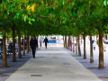 Stockholm_promenade