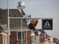 Minion_Crossing